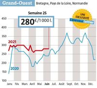 Depuis neuf semaines, le lait Spot stagne à 270-280 € dans l’Ouest. ( Source : L’observatoire de l’Eleveur laitier. www.eleveur-laitier.fr) Depuis neuf semaines, le lait Spot stagne à 270-280 € dans l’Ouest. ( Source : L’observatoire de l’Eleveur laitier. www.eleveur-laitier.fr)